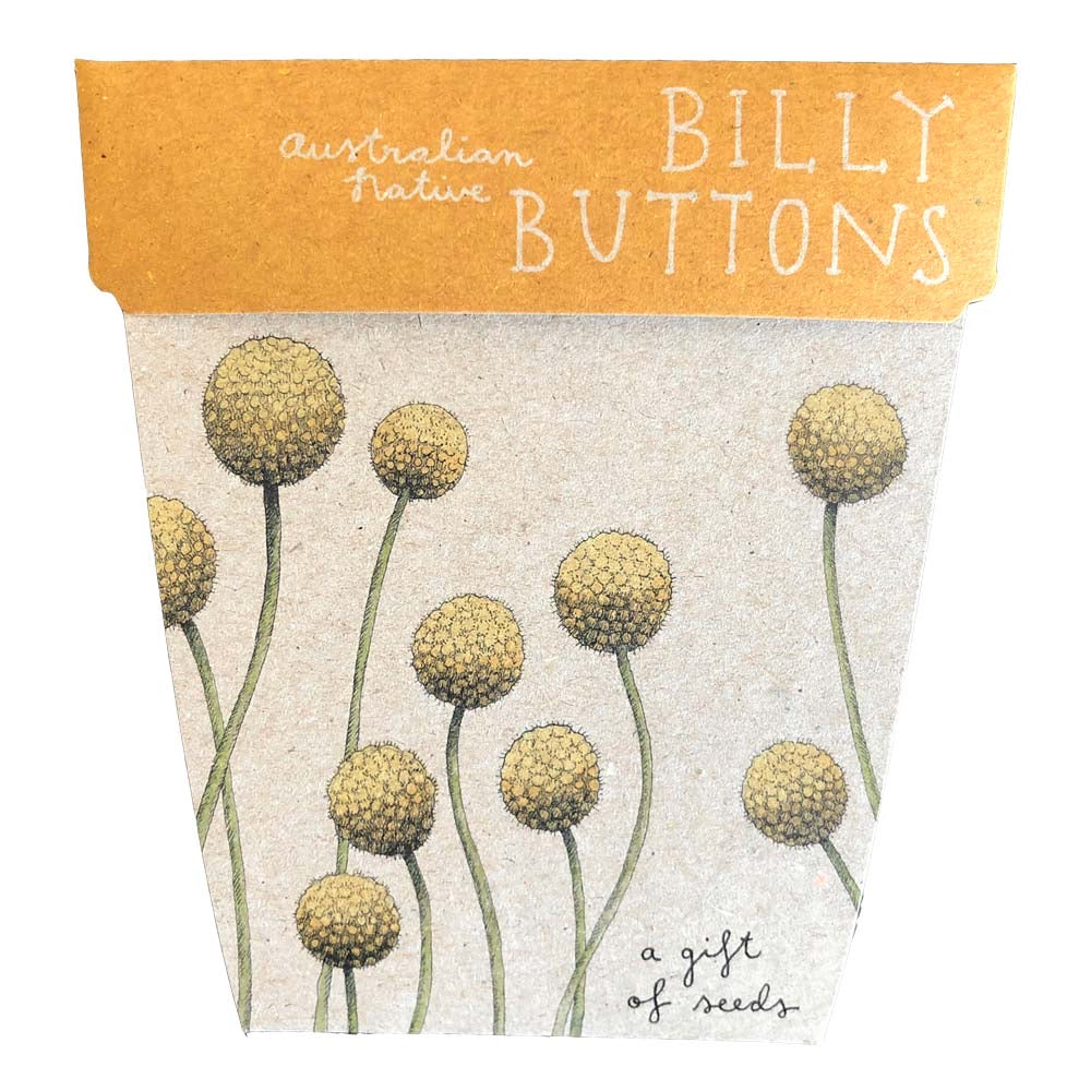 Gift of Seeds Card Collection