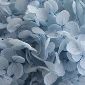 Everlasting Floral Baubles