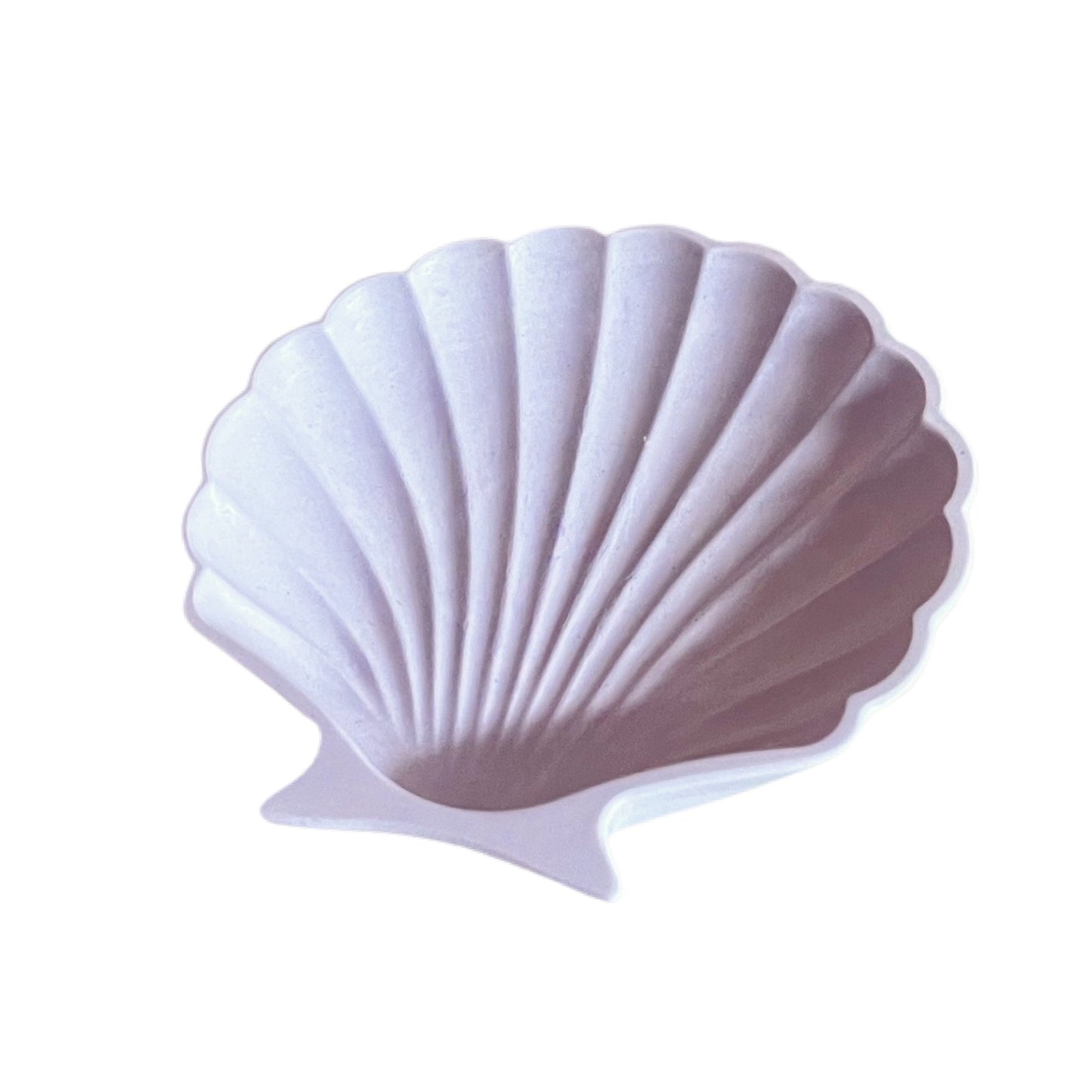 . Shell Trinket Dish .