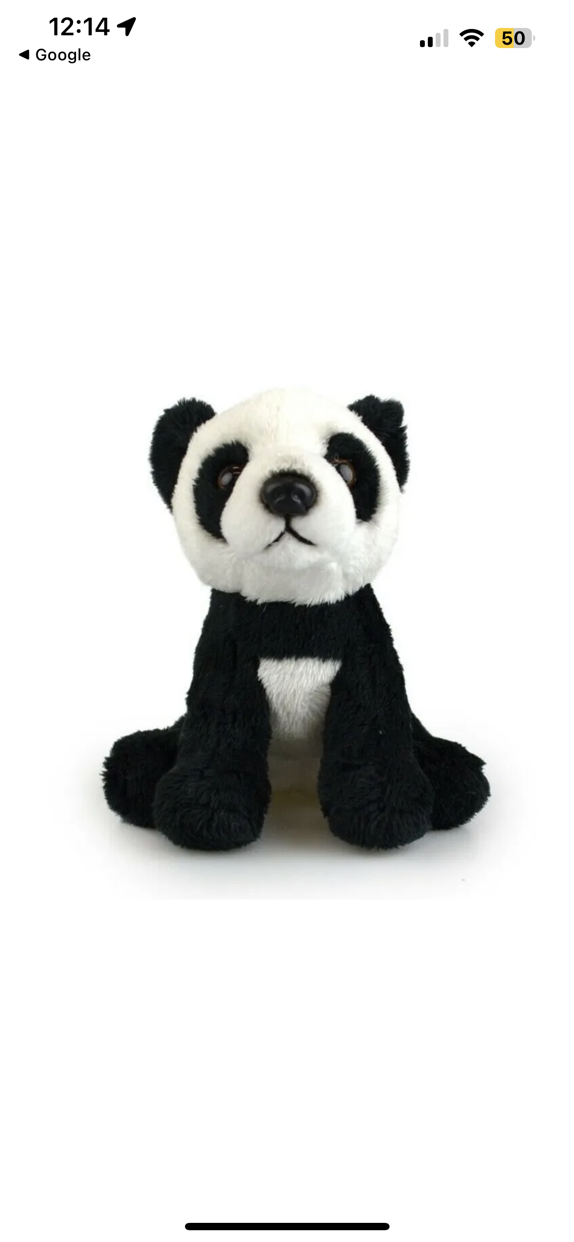 Animal Plushies