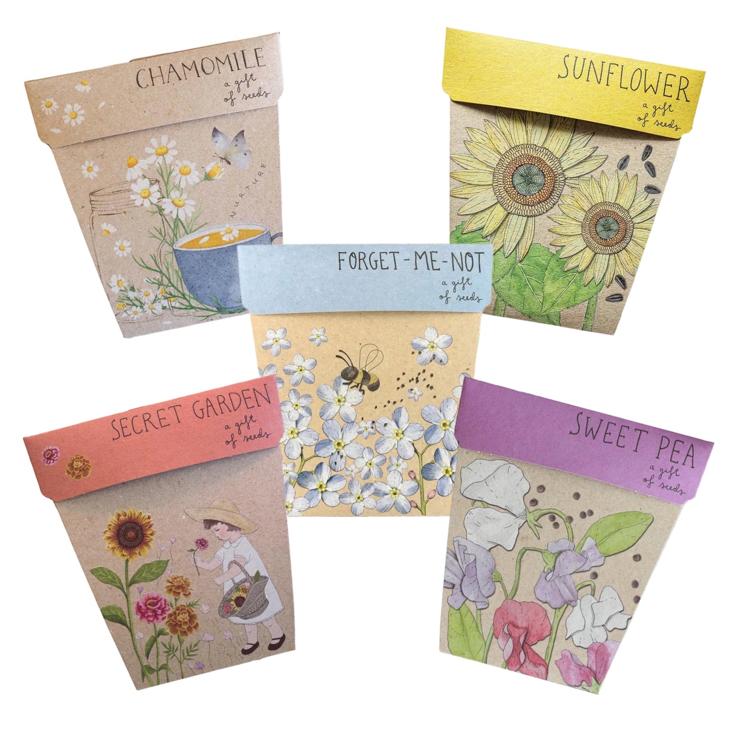 Gift of Seeds Card Collection