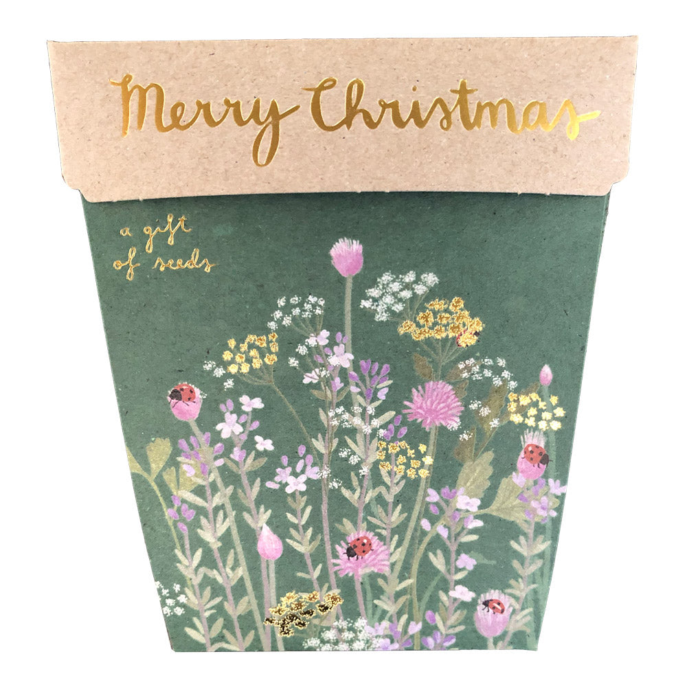 Gift of Seeds Card Collection