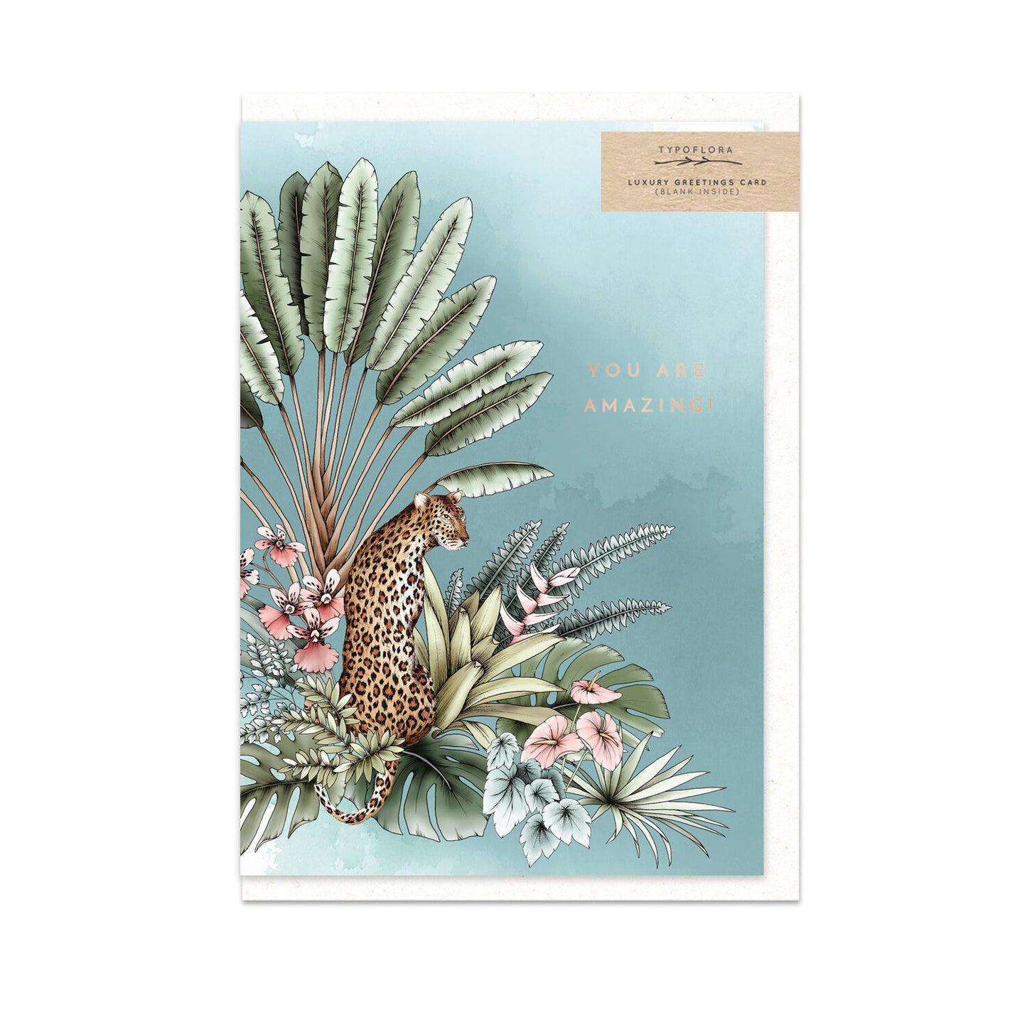 Greeting Card Collection