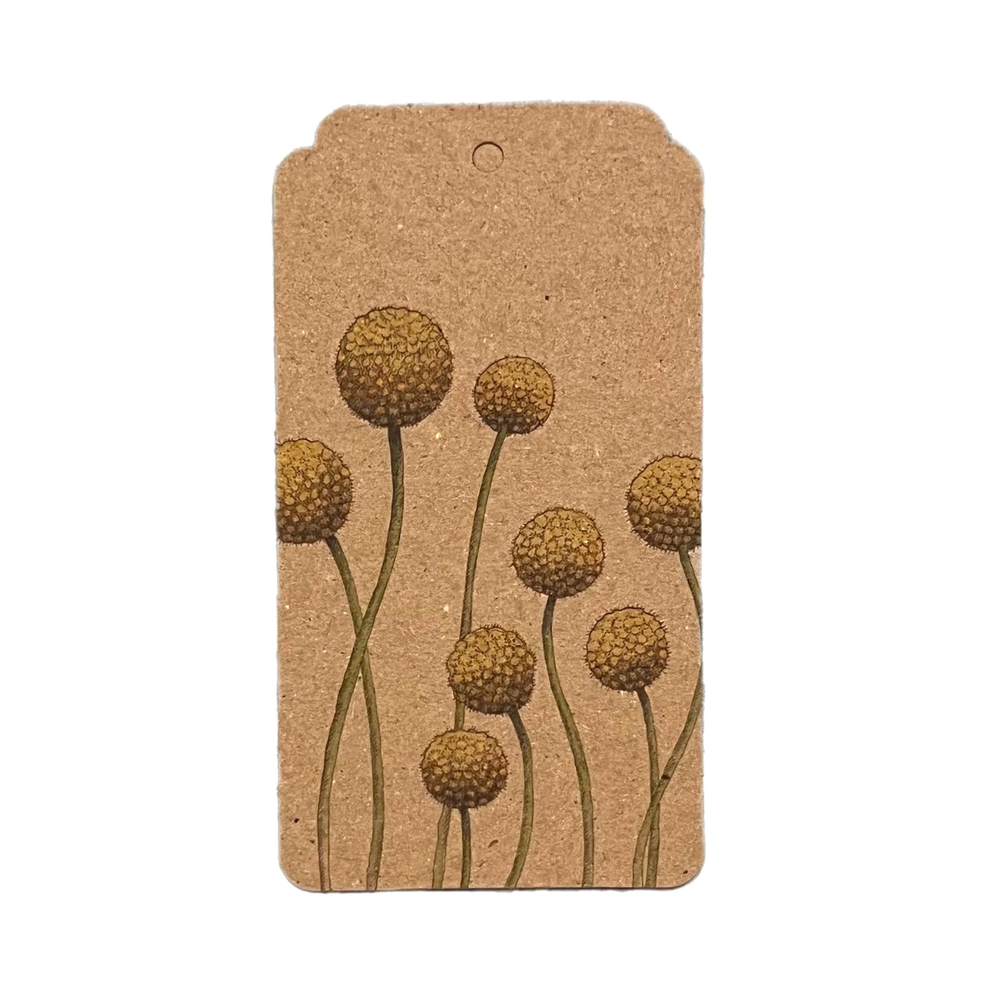 Recycled Gift Tags