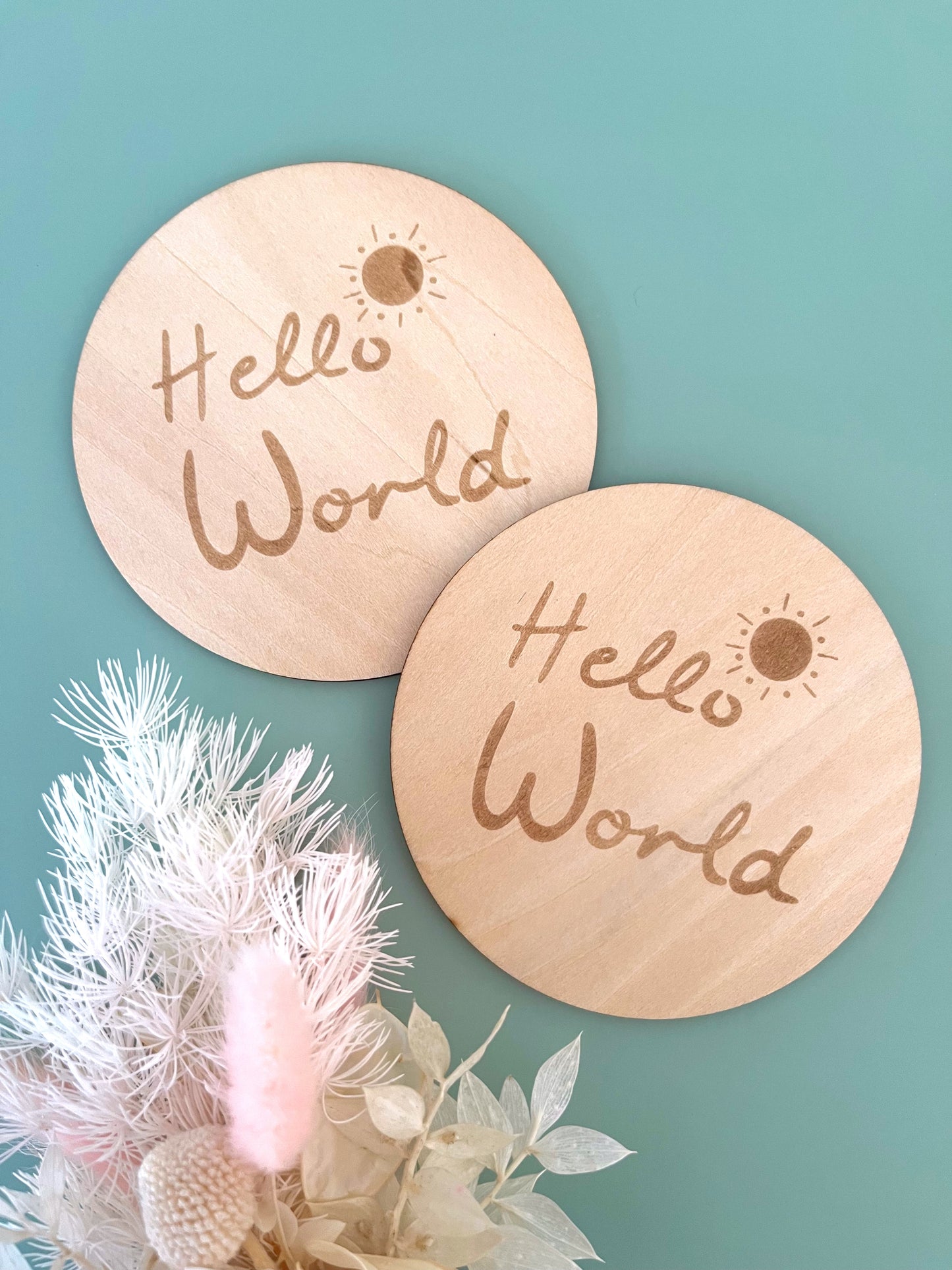 Hello World Announcement Disc