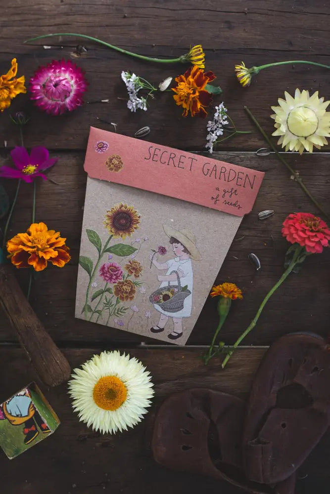 Gift of Seeds Card Collection