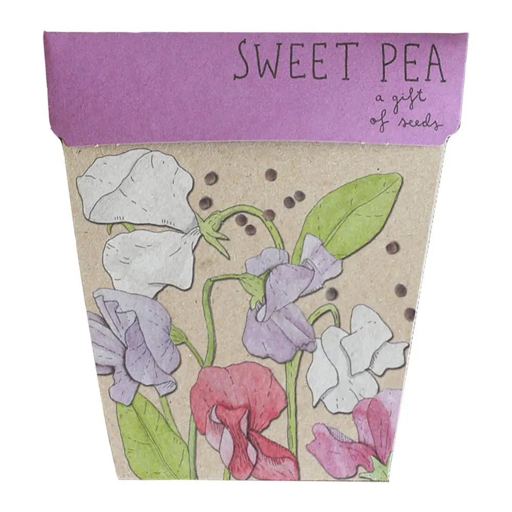 Gift of Seeds Card Collection