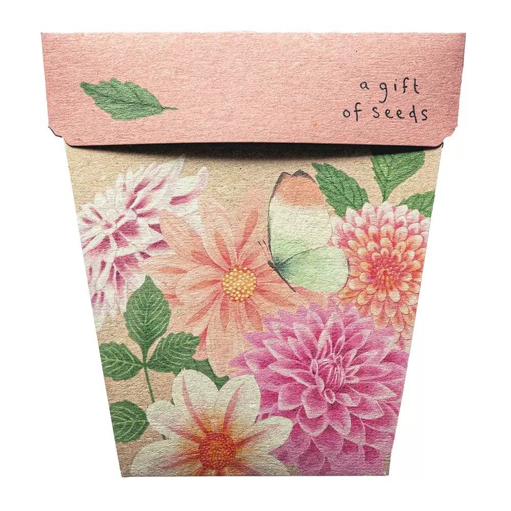 Gift of Seeds Card Collection