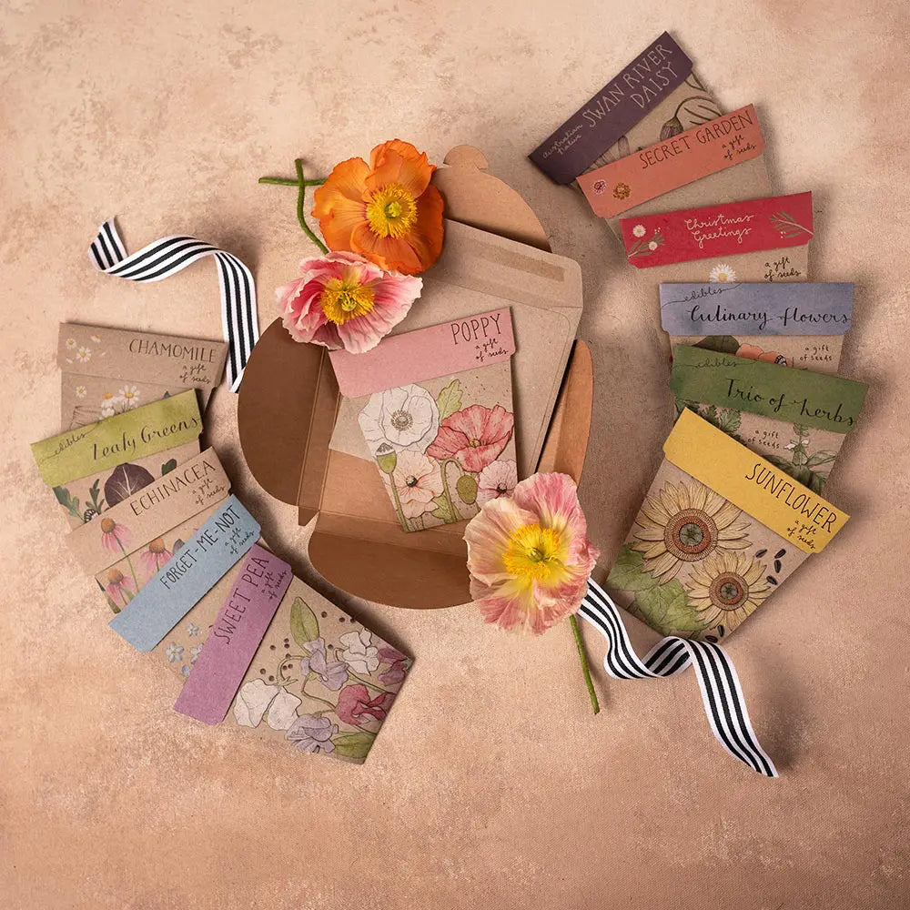Gift of Seeds Card Collection
