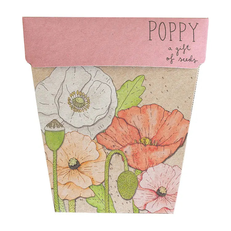 Gift of Seeds Card Collection