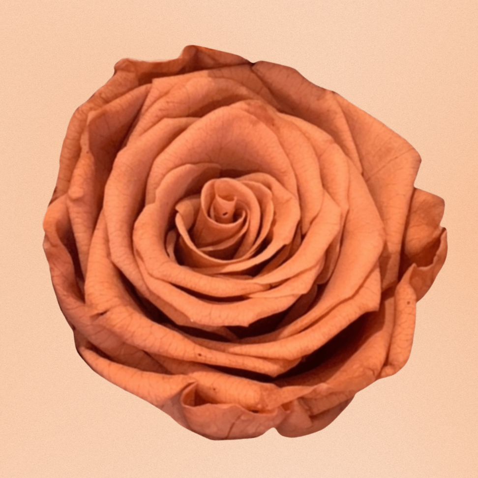 Everlasting Rose Bauble